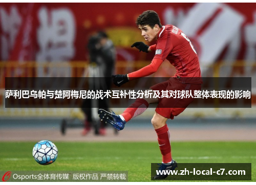 萨利巴乌帕与楚阿梅尼的战术互补性分析及其对球队整体表现的影响